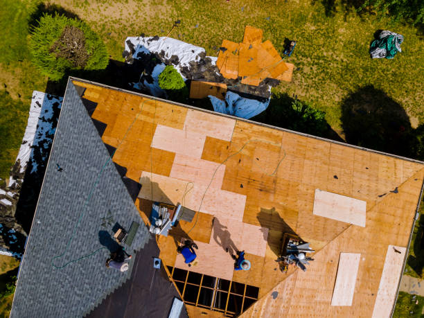 Best Shingle Roofing Installation  in Ivins, UT