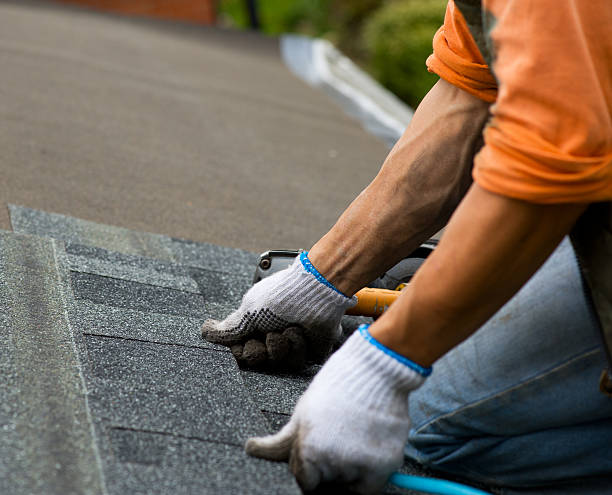 Best Roof Gutter Cleaning  in Ivins, UT